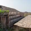 FishDrying3_OM53440