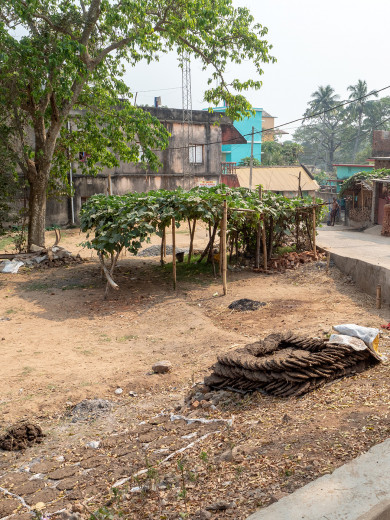 VillageScene_OM52582