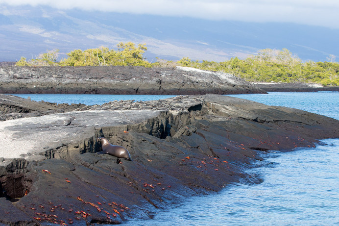 PuntaEspinozaScene_1D X7106